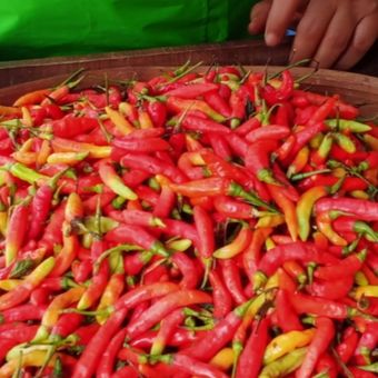 Ilustrasi cabai. Harga cabai naik di Sumenep, jelang akhir tahun.