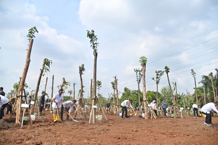 Sinar Mas melalui Sinar Mas Land dan Sinar Mas Agribusiness & Food menanam ratusan pohon di sejumlah lokasi di Jabodetabek dalam rangka memperingati Hari Penanaman Pohon Sedunia, Selasa (28/11/2023). 