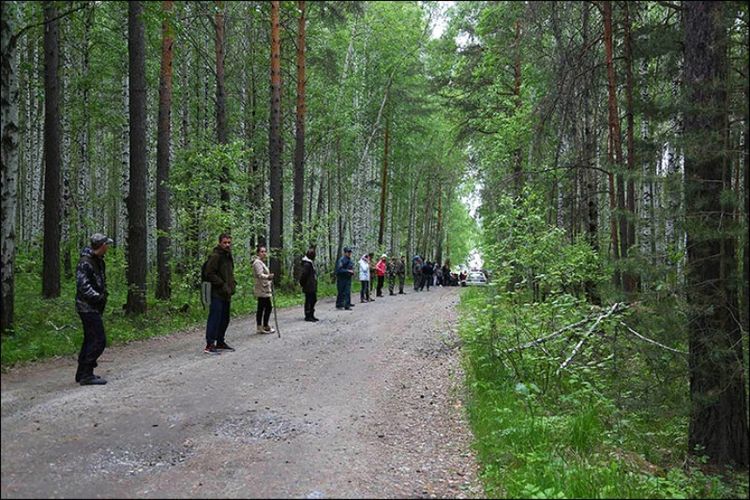 Ratusan sukarelawan ikut mencari Dmitry Peskov (4) yang hilang di sebuah hutan di Pegunungan Ural, Rusia.