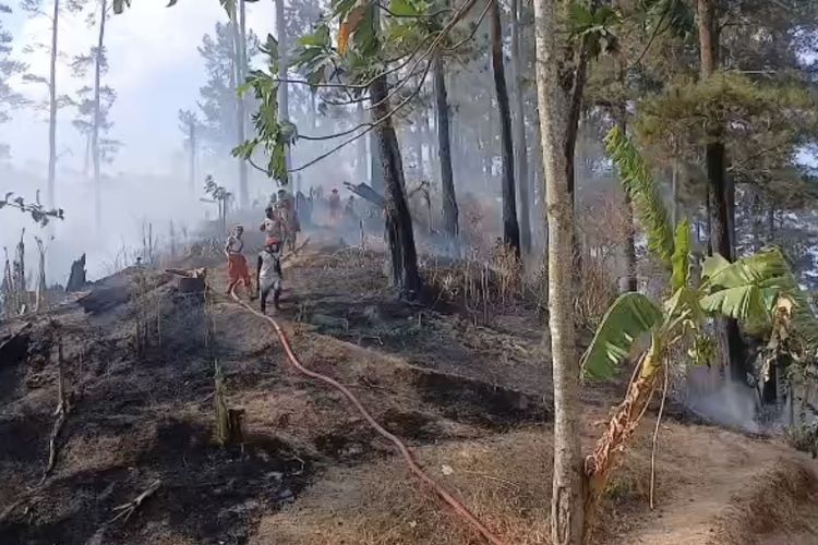 Karhutla Gunung Lawu Meluas Mendekati Permukiman Warga di Ngawi