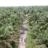 Uni Eropa Diskriminasi Sawit Indonesia,  Menlu Retno: 