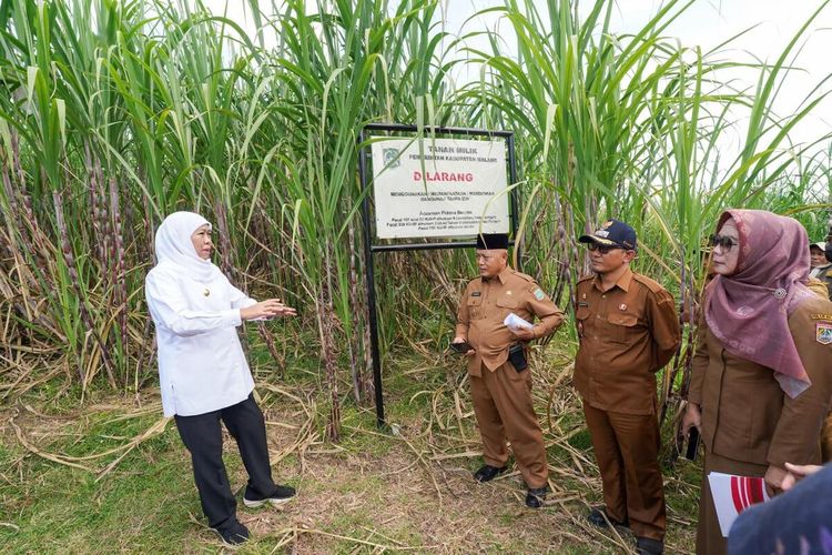 Gubernur Jatim Khofifah Indar Parawansa meninjau lokasi Sekolah Rakya di Malang Selatan, Senin (28/4/2025)