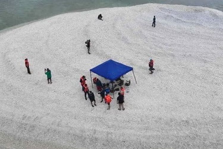 Makin Memanas, Kini China Kuasai Terumbu Karang Dekat Pangkalan Militer Filipina