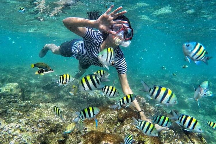 Snorkeling di Pantai Nglambor, salah satu pantai terkenal di Yogyakarta.