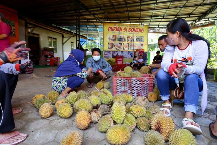 Durian boneng diserbu warga, di Kecamatan Songgon, Banyuwangi, Jawa Timur.