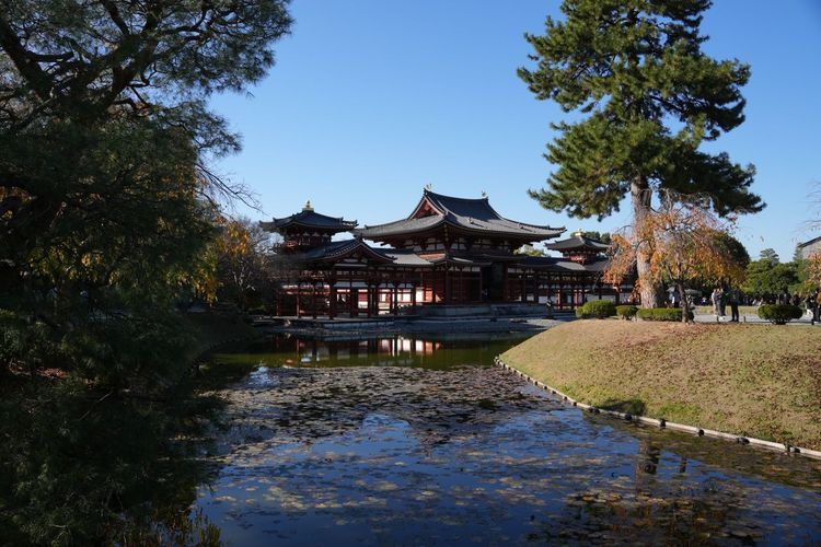 Kota di Jepang Ini Terkenal dengan Matcha, Ini 4 Alasannya