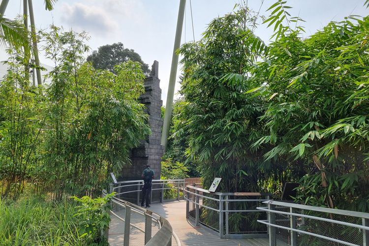 Suasana di salah satu kandang di Bird Paradise, Mandai, Singapura, Kamis (4/10/2023).