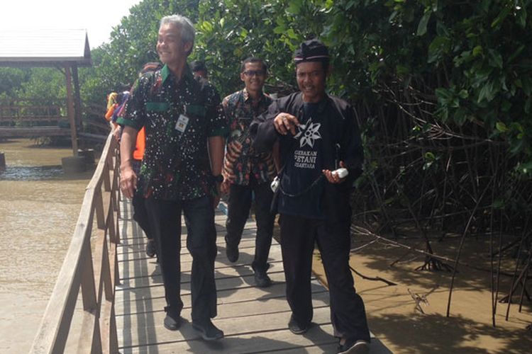 Gubernur Jateng Ganjar Pranowo di wisata susur mangrove Desa Kaliwingi, Kecamatan Brebes, Kabupaten Brebes, Jawa Tengah.
