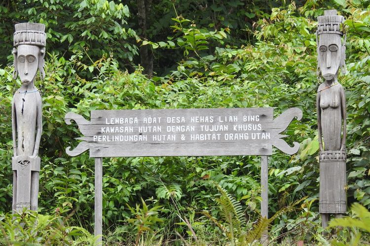 Patung adat Desa Nehas Liah Bing di KEE Wehea-Kelay, Kalimantan Timur.
