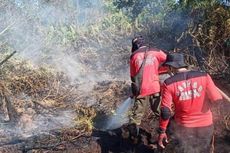 Dalam Dua Hari, Ada 7 Karhutla di Penajam Paser Utara