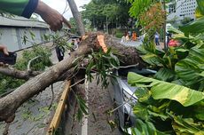 Anggaran Cetak Ulang 11.000 Hektar Sawah Terdampak Banjir Sumatera Rp 400 M