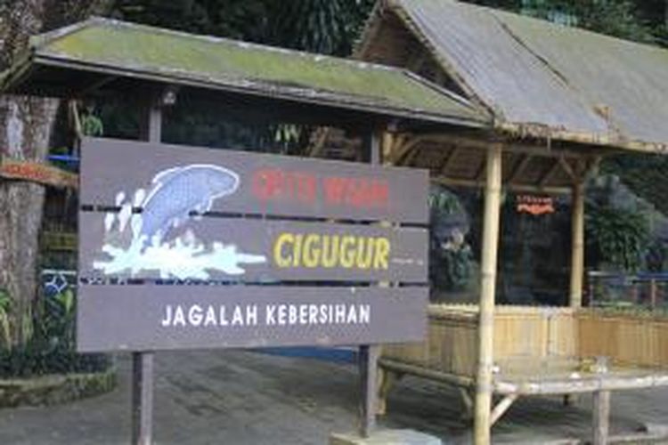 Objek Wisata Cigugur, Terapi Ikan Dewa