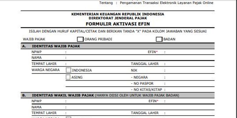 Contoh Formulir Aktivasi EFIN