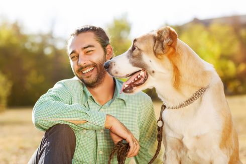 Mengenal Anjing Terapi yang Bisa Tingkatkan Kesehatan Mental dan Fisik