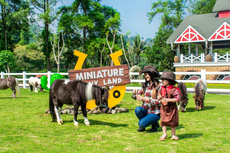 8 Vila Dekat Cimory Dairyland Puncak dengan Pemandangan Gunung 