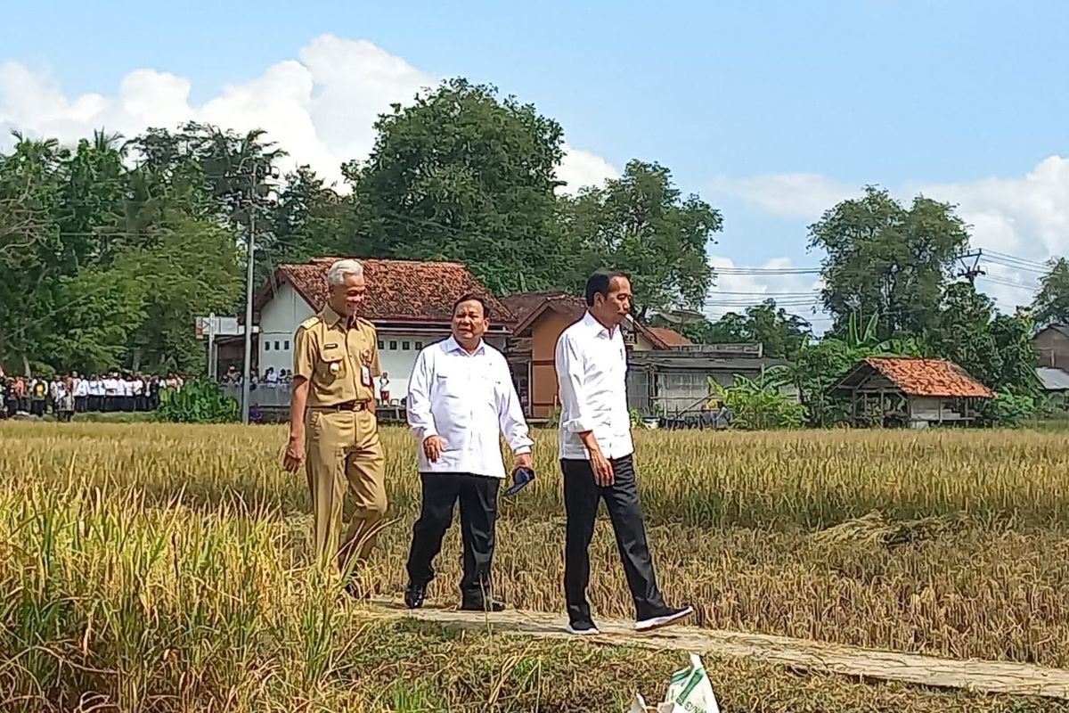 Presiden Joko Widodo, calon menteri pertahanan Prabowo Subianto, dan Gubernur Jawa Tengah Ganjar Pranowo, terlihat mesra saat melaksanakan panen raya padi di Desa Lenjer, Kecamatan Ambal, Kabupaten Kebumen.