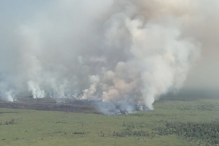 Karhutla Terjang 2 Kecamatan di Kutai Barat, Lahan Gambut 5 Hektar Hangus Terbakar