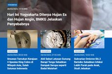 [POPULER SAINS] Yogyakarta Diterpa Hujan Es | Kerajaan 4 Spesies King Cobra | Dampak Letusan Gunung Tonga Serupa Badai Matahari