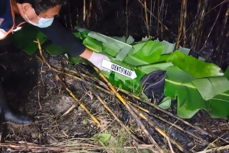 Kebun Tebu Terbakar di Sragen, Petani Ditemukan Tewas dengan Luka Bakar 80 Persen
