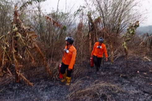 Wali Kota Semarang Curiga Ada yang Sengaja Membakar Lahan di Dekat TPA Jatibarang