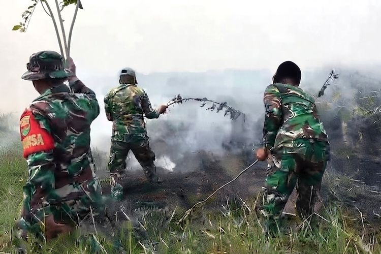 Tim Alpha Disiapkan Tembus Area Sulit di Way Kambas, Percepat Pemadaman Karhutla di Lampung