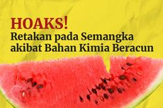 INFOGRAFIK: Hoaks! Retakan pada Semangka akibat Bahan Kimia Beracun