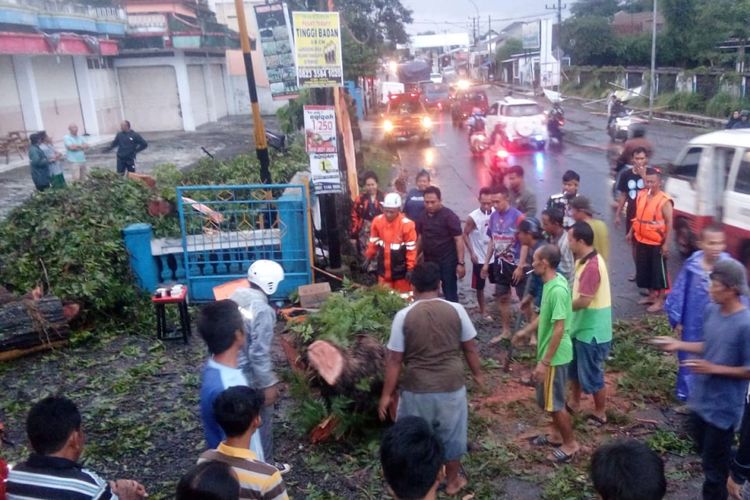 Petugas BPBD Kota Tasikmalaya dibantu kepolisian serta warga setempat sedang mengevakuasi pohon tumbang di Jalan AH Nasution, Mangkubumi, Kota Tasikmalaya, Jumat (7/12/2018).