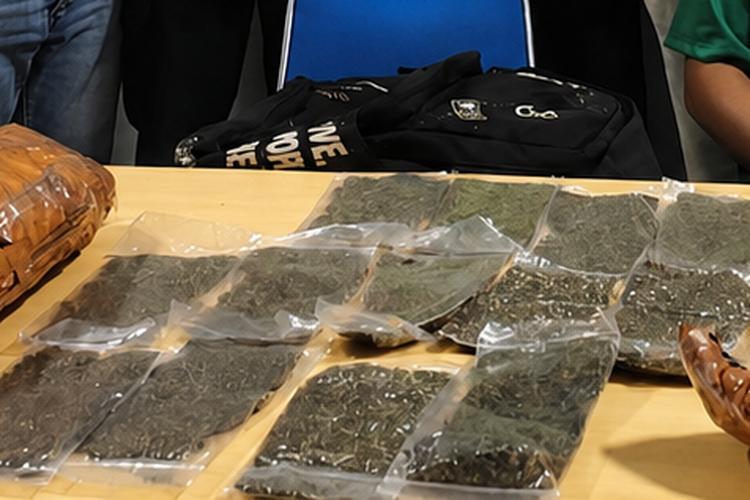 Kronologi Penangkapan Penumpang di Bandara Sentani, Bawa Ganja 2,6 Kg di Tas Ransel dan Koper Merah