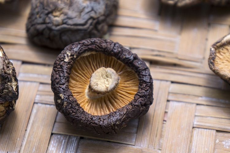 Jamur Shiitake Kering