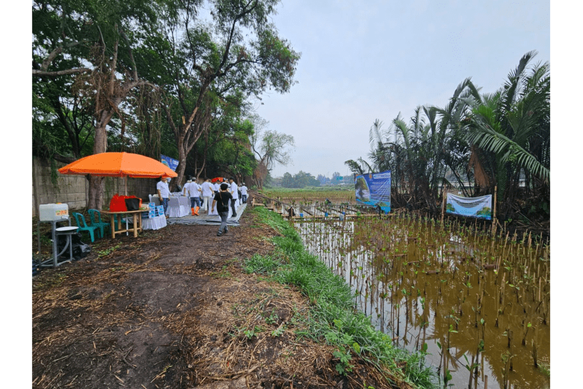 Realestat Indonesia (REI) DKI Jakarta melakukan penanaman 1.000 pohon mangrove di Kawasan Ekowisata Mangrove Kapuk, Jakarta Utara, Sabtu (25/11/2023).