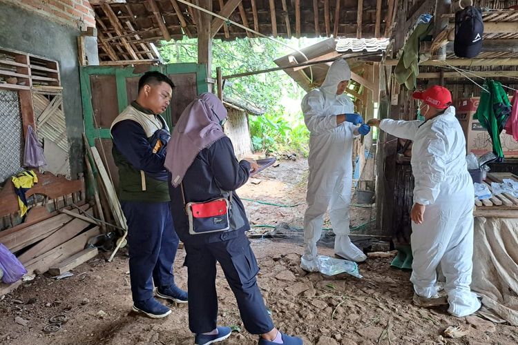 AMBIL SAMPEL—Tim dari Balai Besar Veteriner Wates Yogyakarta sementara mengambil sampel darah sapi di Kabupaten Ponorogo setelah ditemukan kasus sapi suspek LSD di bumi reog, Senin (13/2/2023).