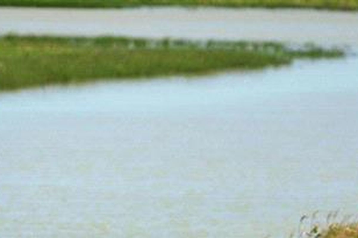 Ilustrasi: Waduk Kedung Ombo