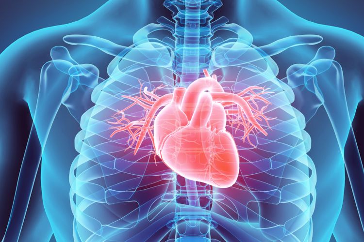 Penyakit kardiovaskular adalah sekelompok gangguan kesehatan pada jantung dan pembuluh darah, jenis yang paling umum ialah serangan jantung dan stroke.