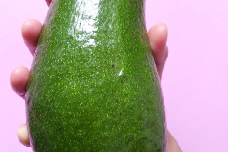 Ilustrasi buah alpukat aligator atau giant avocado. 