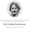 Obituari: Srihadi Soedarsono, Pelukis dan Pendidik.