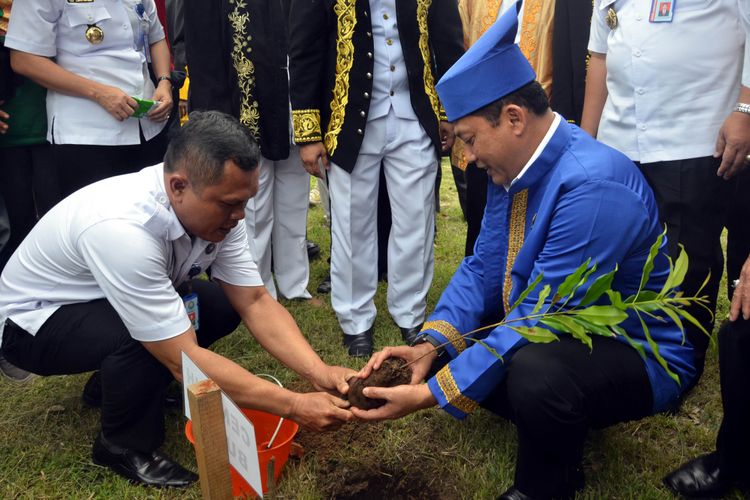 Kepala BNN Komjen Pol Budi Waseso menanam satu pohon cengkeh di halaman Kedaton Kesultanan Ternate, Maluku Utara, Kamis (23/3/2017)
