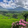 Bali Tourism Run 2026, Ajak Wisatawan Lari dan Bermalam di Jatiluwih