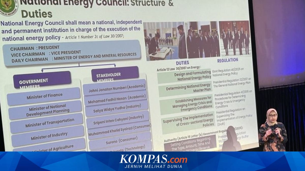 DEN soal Kerja Sama Pengembangan Nuklir: RI Menganut Politik Bebas Aktif