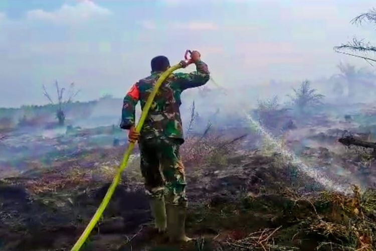 Prajurit TNI berupaya memadamkan api karhutla di Desa Pauh, Kecamatan Bonai Darussalam, Kabupaten Rokan Hulu, Riau, Selasa (8/8/2023).
