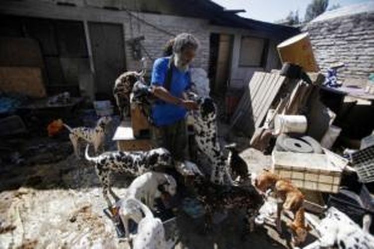 Nelson Vergara (55) terinspirasi menampung anjing-anjing liar setelah terinspirasi film 101 Dalmatian