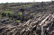RUU Pangan Dinilai Belum Cukup Antisipasi Krisis Iklim