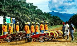 ANJ Komitmen Terapkan Prinsip GCG untuk Perkokoh Kinerja Perusahaan