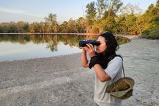 Panua Gorontalo Jadi Tempat Singgah Migrasi Burung dari Bumi Utara