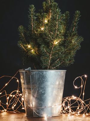 Ilustrasi pohon Natal kecil