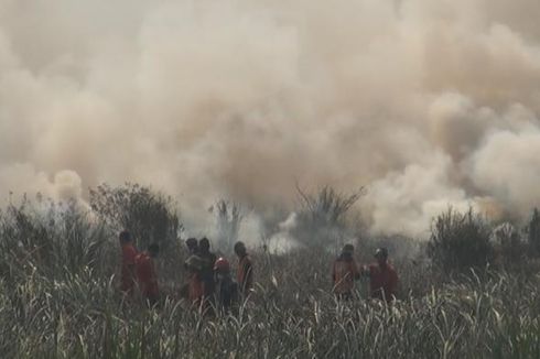 BMKG: 167 Titik Panas di Sumatera