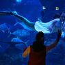 Jakarta Aquarium Tutup Selama PSBB, Masa Berlaku Tiket Diperpanjang