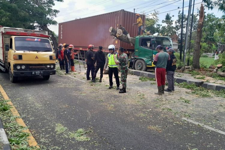 Truk kontainer tertimpa pohon di Banguntapan, Bantul. Selasa (28/11/2023)