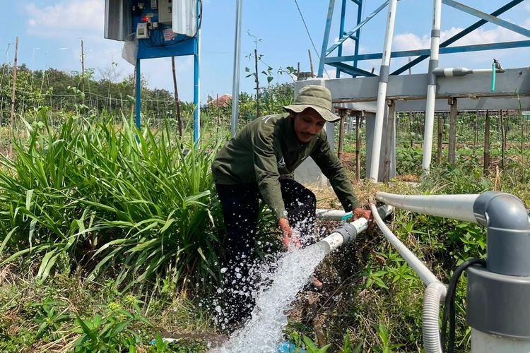 Mengubah Kemarau Menjadi Harapan, Pertamina Dampingi Petani Boyolali Menuju Kesejahteraan
