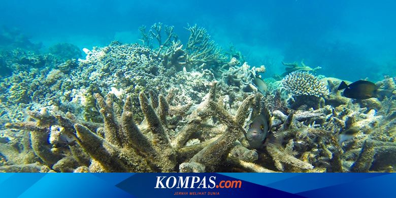 Pemanasan Global Ancaman Nyata Bagi Situs Warisan Dunia