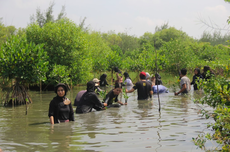 Jaga Kelestarian Bumi, Acer Dedikasikan 1.000 Mangrove Buat Wonorejo